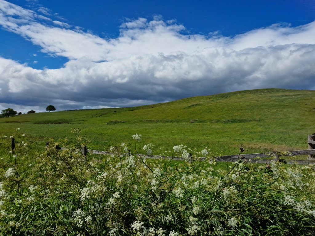 Green rolling hill under a dramatic blue sky with white clouds, seen from a layby in Nunnykirk, Northumberland, with cow parsley and a wooden fence in the foreground